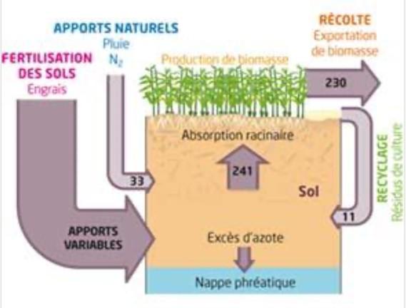 L'agriculture, la biomasse végétale et les sols - 2nde - Cours SVT -  Kartable